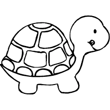 Tranh tô màu : Con rùa